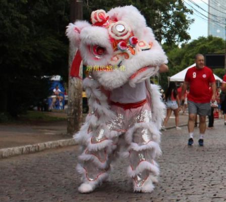 湛江文车醒狮和佛山醒狮哪个厉害？文车醒狮2008年奥运会