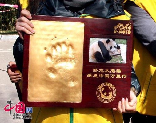 北京奥运会熊猫情况怎样？奥运会现况