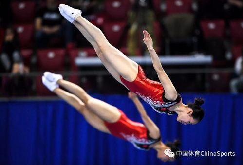 2012伦敦奥运会中国女子蹦床是冠军吗（里约奥运会蹦床）