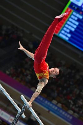 2016奥运会女子双杠冠军（北京奥运会双杠决赛）