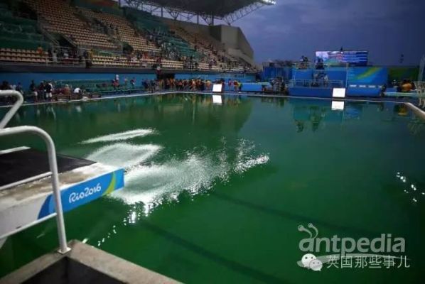 游泳池有人拉尿水会变颜色吗（奥运会跳水池）