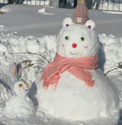 张家口银行吉祥物雪人的名字（雪人股份奥运会）