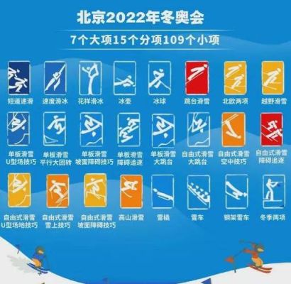 冬季奥林匹克有几大项（冬奥运会细节）