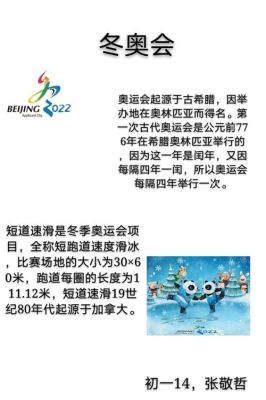 奥运会的故事（冬奥运会事例）