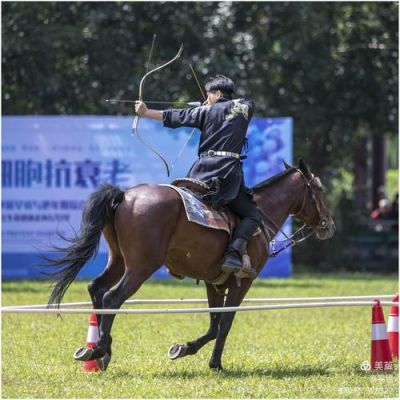 骑射夺魁有什么数字意思（奥运会马术分数）